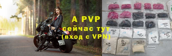 тгк Бородино