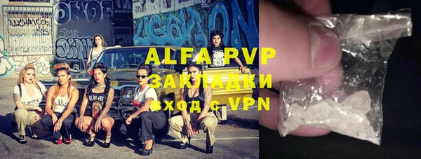 тгк Бородино