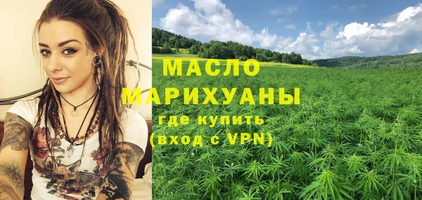 тгк Бородино