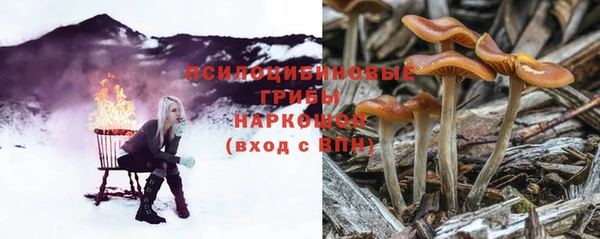 тгк Бородино