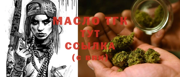 тгк Бородино