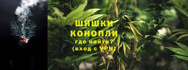 тгк Бородино