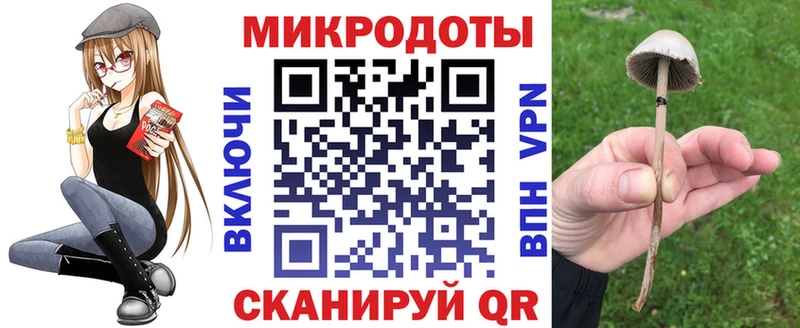 Галлюциногенные грибы ЛСД  нарко площадка какой сайт  Княгинино 